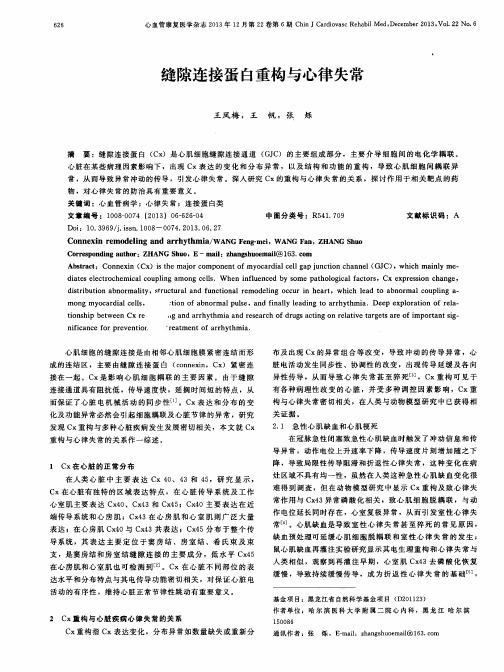缝隙连接蛋白重构与心律失常