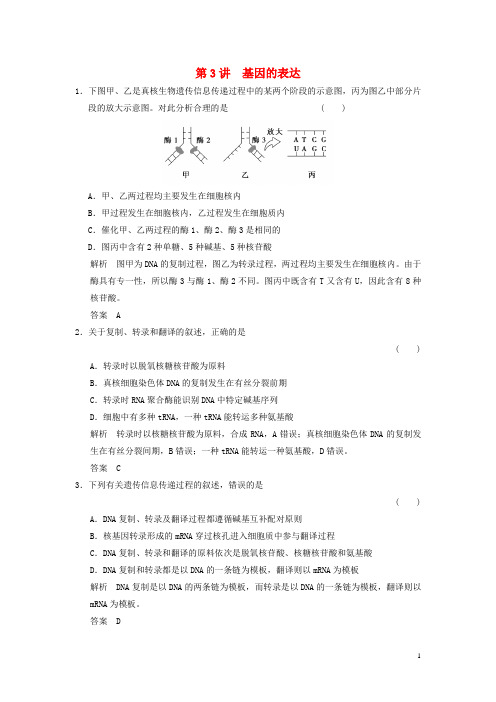 新高考生物一轮复习 第2单元 遗传的分子基础 第3讲 基因的表达习题(含解析)北师大版必修2