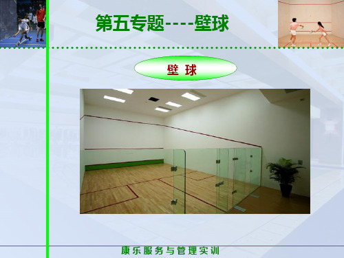 6.壁球