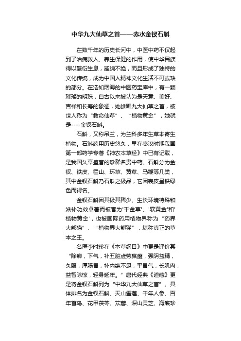 中华九大仙草之首——赤水金钗石斛