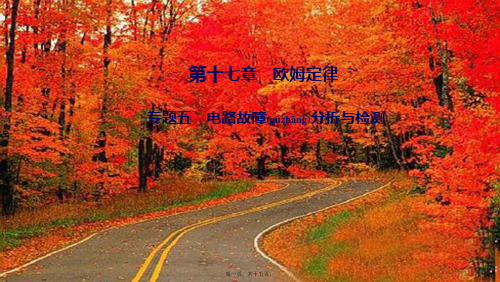 九年级物理全册 专题五 电路故障分析与检测作业课件初中九年级全册物理课件