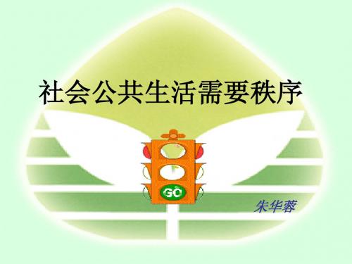 5.23不以规矩 难成方圆 教案 (1)