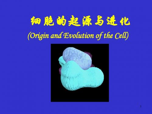 细胞的起源与进化