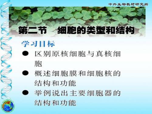 细胞的类型和结构 PPT课件10 苏教版