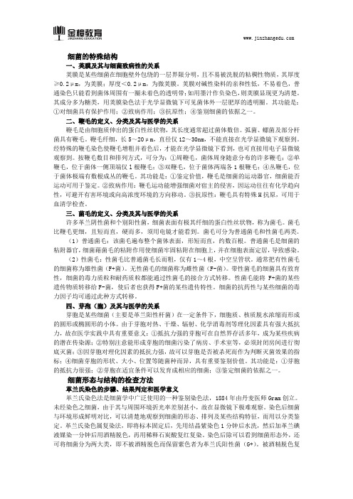 2018口腔执业医师综合笔试知识点(二百五十五)