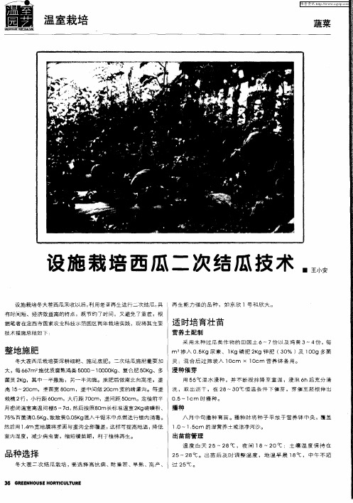 设施栽培西瓜二次结瓜技术