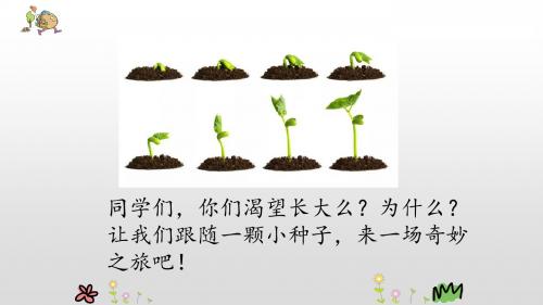 部编小学三年级上册《三单元9 那一定会很好》党盼盼PPT课件 一等奖新名师优质公开课获奖比赛人教版