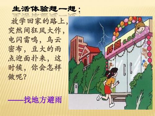 七年级生物下册 第十二章 第三节 人体感知信息课件4 (新版)苏教版