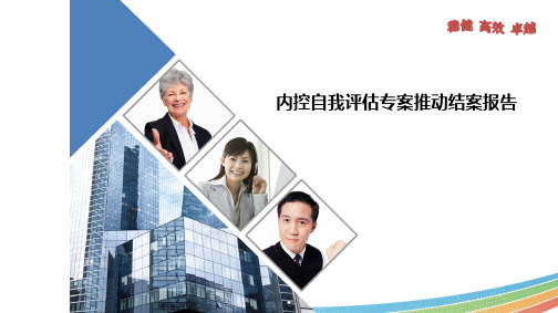 内控自我评估辅导说明
