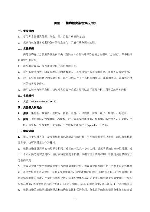 植物显微技术实验参考资料