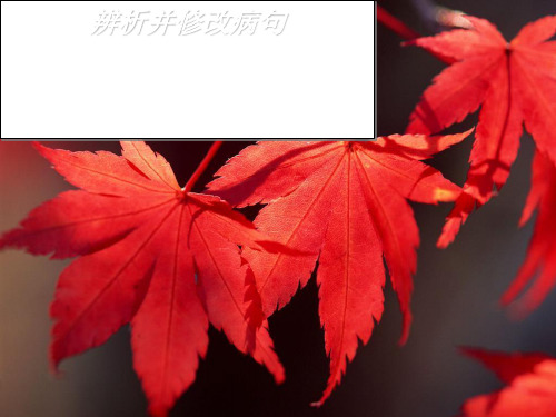 高二语文空中课堂 PPT课件 图文