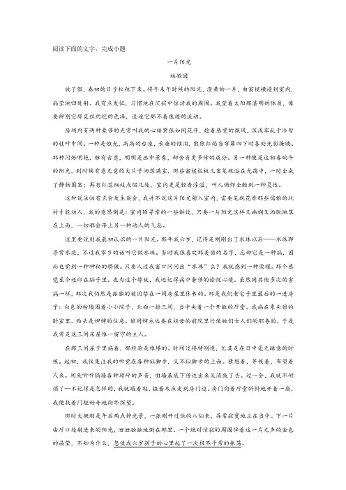 《一片阳光》阅读练习及答案