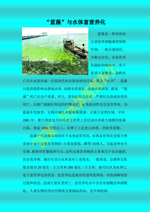 “蓝藻”与水体富营养化