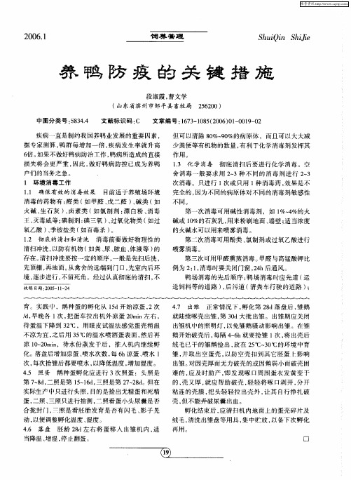 养鸭防疫的关键措施