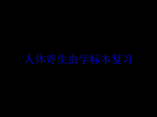 人体寄生虫学标本复习培训课件