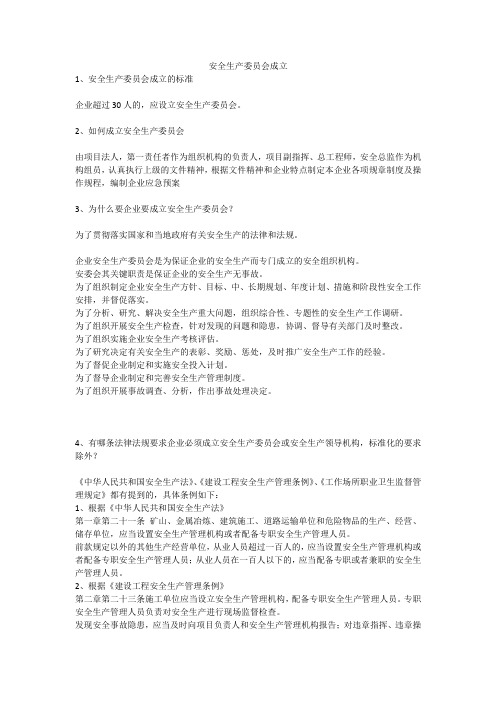 安全生产委员会成立安全生产