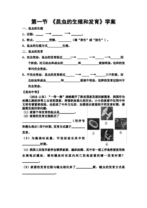 第一节 昆虫的生殖和发育  学案