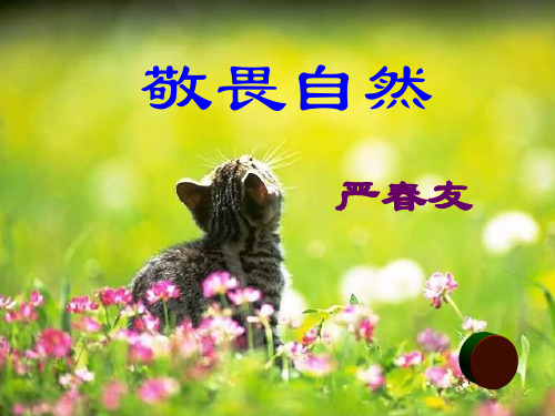 八年级语文下册课件11敬畏自然 (共30张PPT)