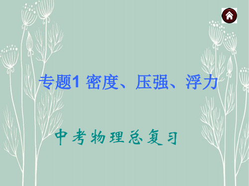 中考物理专题复习《专题1_密度、压强、浮力》ppt课件