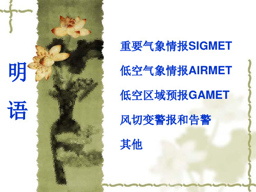 航空气象学：11.3 明语