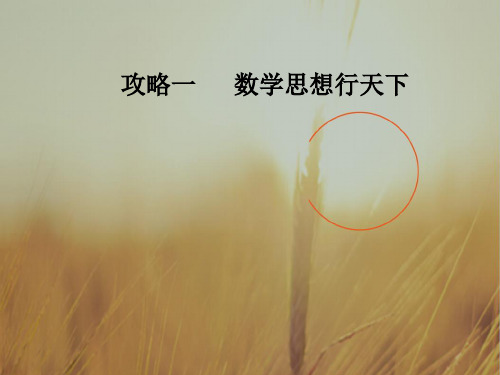 最新-2021高考新课标数学文二轮专题复习课件：攻略一第2讲分类讨论思想、转化与化归思想 精品