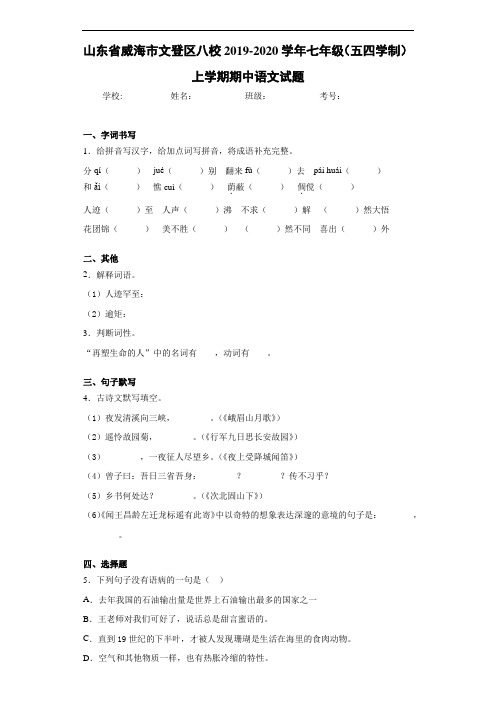 山东省威海市文登区八校2019~2020学年七年级(五四学制)上学期期中语文试题(含答案解析)
