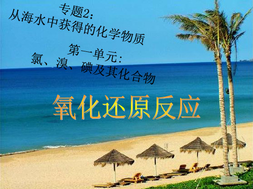 高一化学必修1氧化还原反应电子转移课时2PPT课件