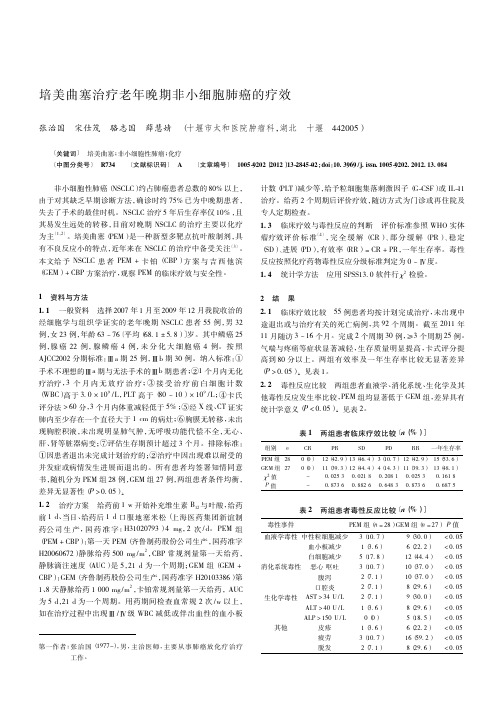 培美曲塞治疗老年晚期非小细胞肺癌的疗效