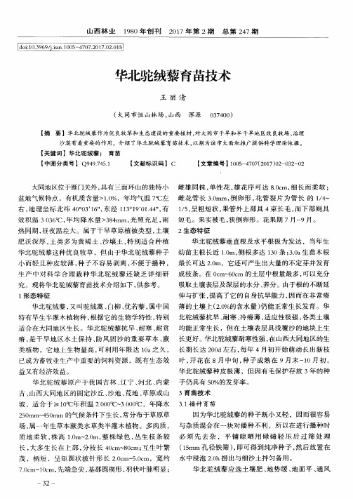 华北驼绒藜育苗技术