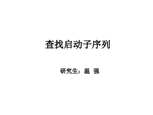 启动子查询