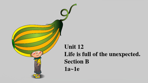 人教版九年级英语全Unit 12. Section B 1a---1e教学课件 (共17张PPT)