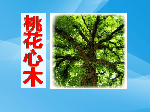 人教版小学六年级下册语文桃花心木教学PPT课件课件PPT