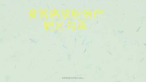 食管癌放射治疗靶区勾画cui课件