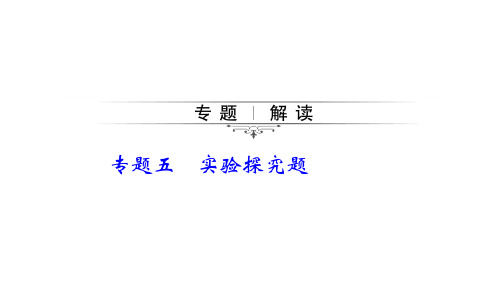 初中化学中考总复习PPT——实验探究题