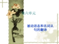 英语翻译 第六单元(新)