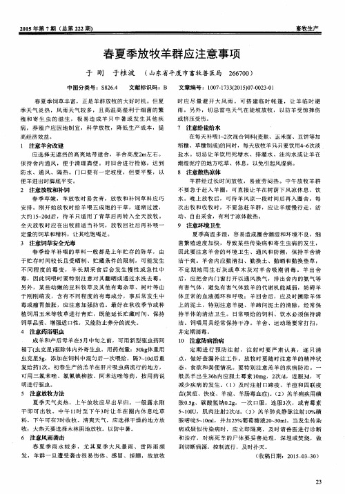 春夏季放牧羊群应注意事项