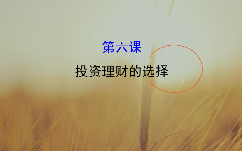 2018年高考政治一轮复习课件：1-2-6投资理财的选择 精品
