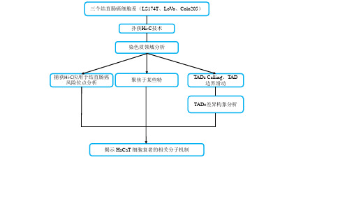 实验思路流程图
