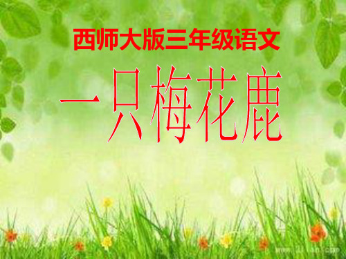 西师版小学三年级上册语文《一只梅花鹿》课件