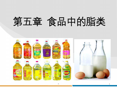 《食品中的脂类》PPT课件