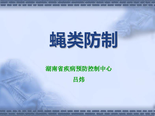 蝇类防制(初级)