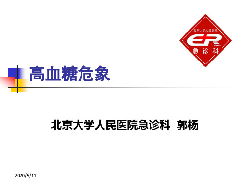 高血糖危象ppt