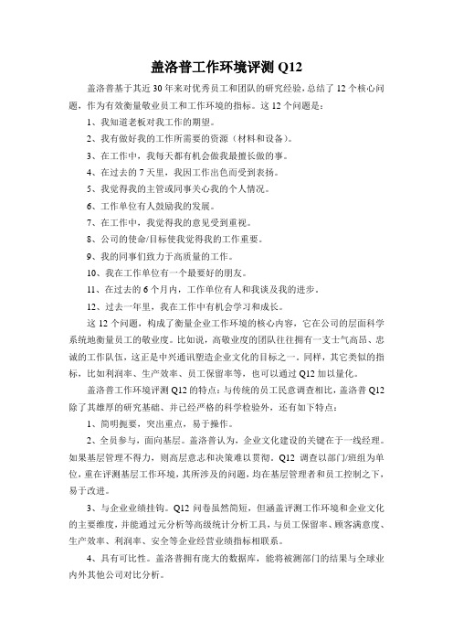 盖洛普工作环境评测
