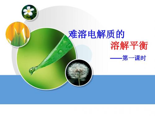 难溶电解质的溶解平衡