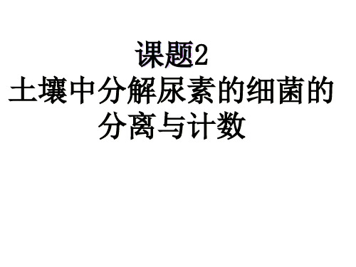 土壤中分解尿素的细菌的分离与计数PPT课件