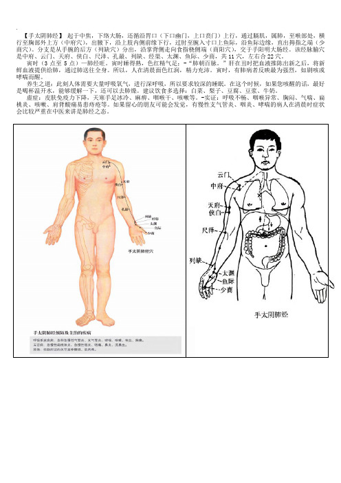 中医学人体经脉十二经脉经八脉全套图文