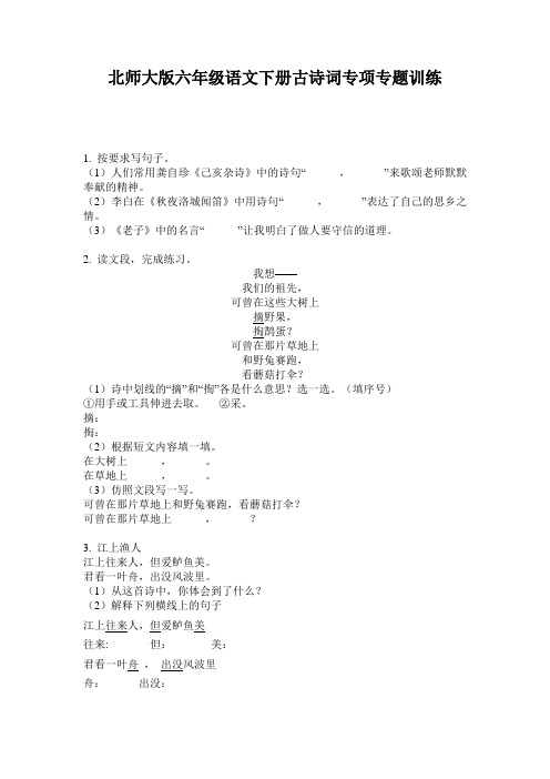 北师大版六年级语文下册古诗词专项专题训练