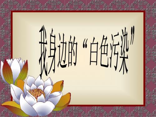 我身边的“白色污染”