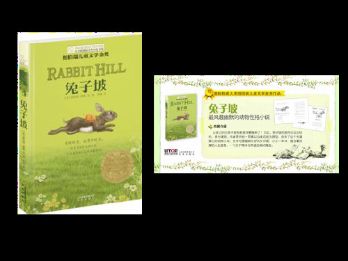 《兔子坡》导读课件