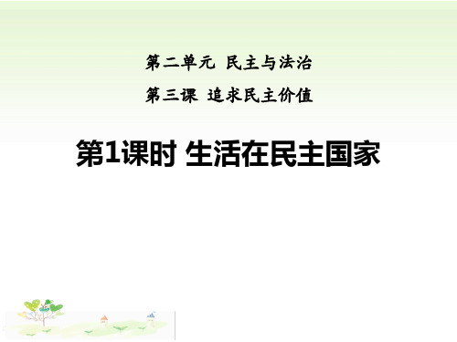 《生活在民主国家》追求民主价值(最新)ppt下载